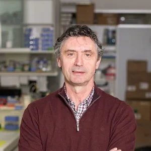 Researchers from Lleida make advances to propose new therapies in the treatment of Friedreich's ataxia