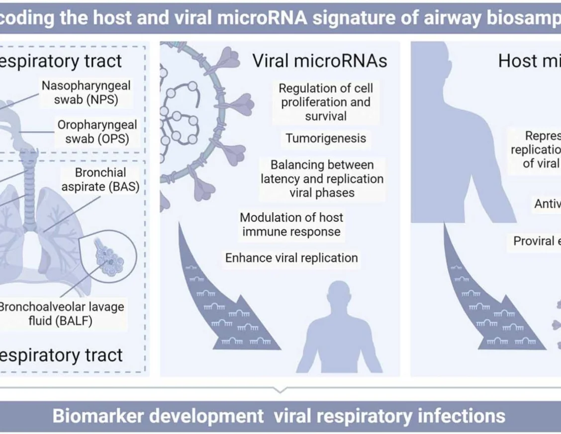 Proponen la utilidad de los perfiles de microARN como biomarcadors para mejorar el manejo de los pacientes con enfermedades respiratorias