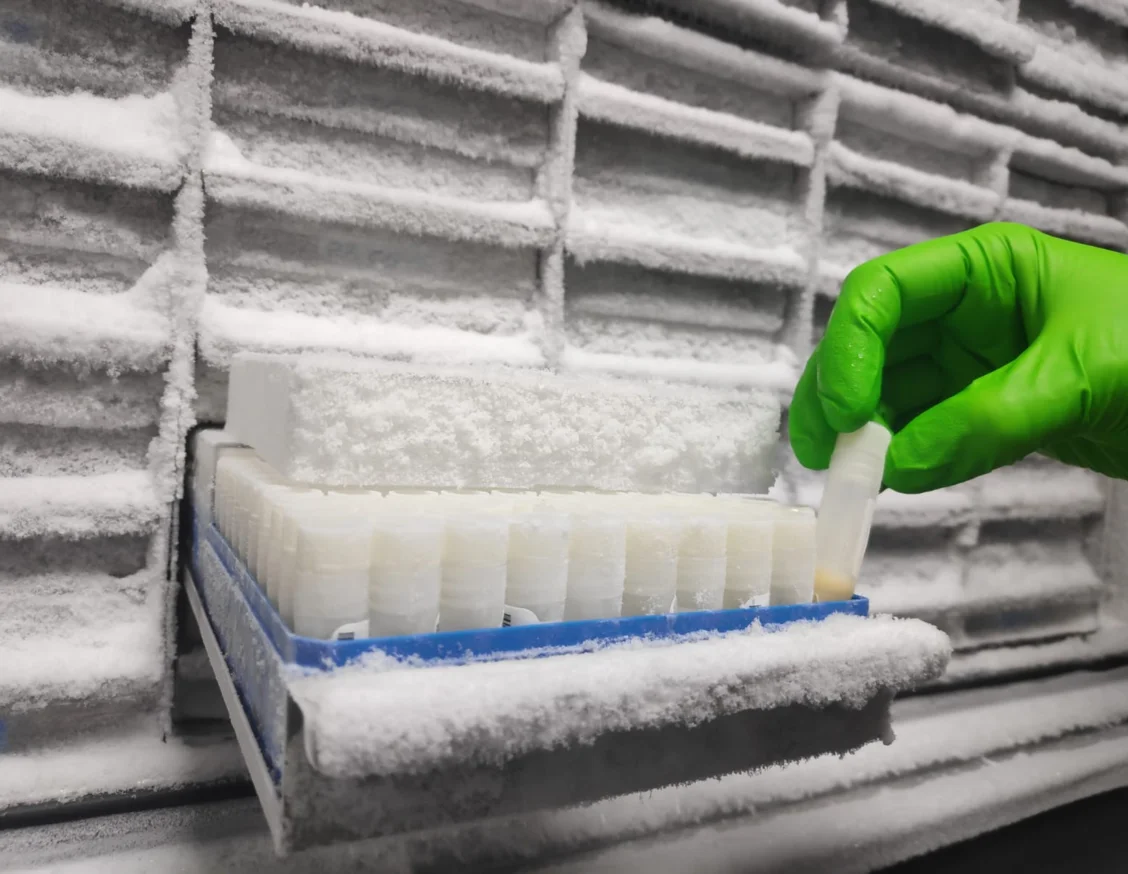 El Biobanc de l’IRBLleida recull més de 4.700 mostres de pacients amb COVID-19 de Lleida per cedir-les a la recerca
