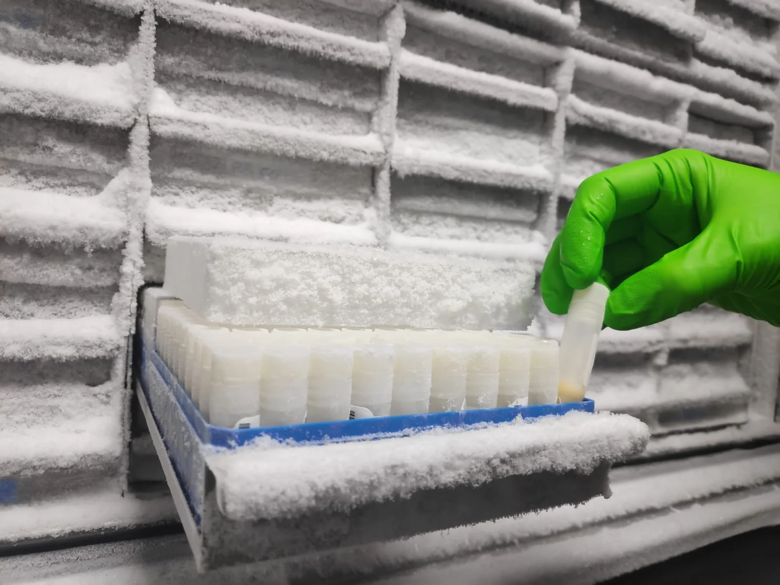 El Biobanc de l’IRBLleida recull més de 4.700 mostres de pacients amb COVID-19 de Lleida per cedir-les a la recerca