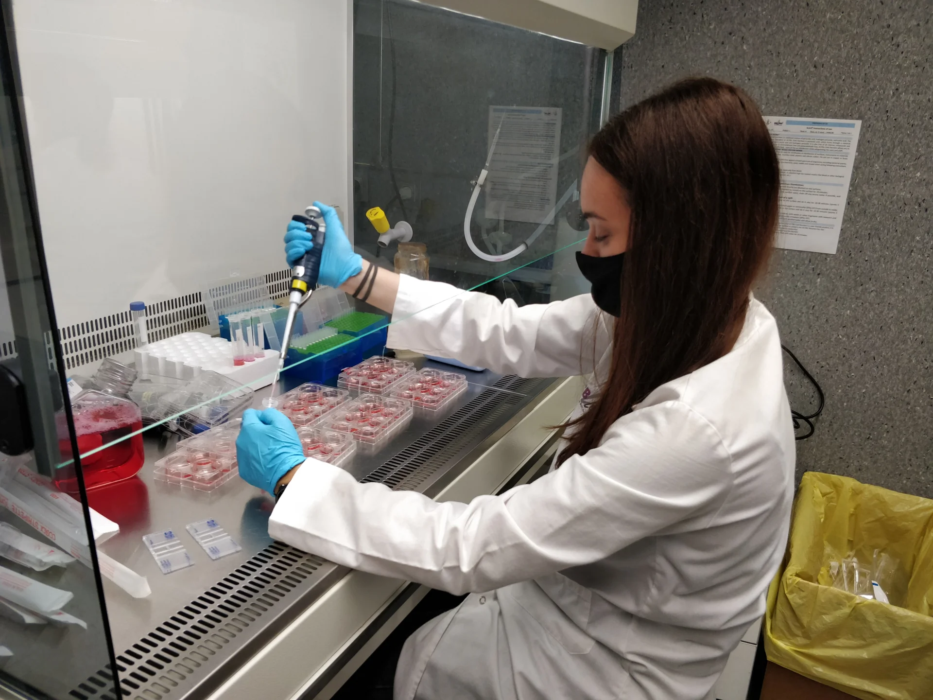 Described  the function of the EndoG protein, which is key to cell proliferation and the control of oxygen free radicals