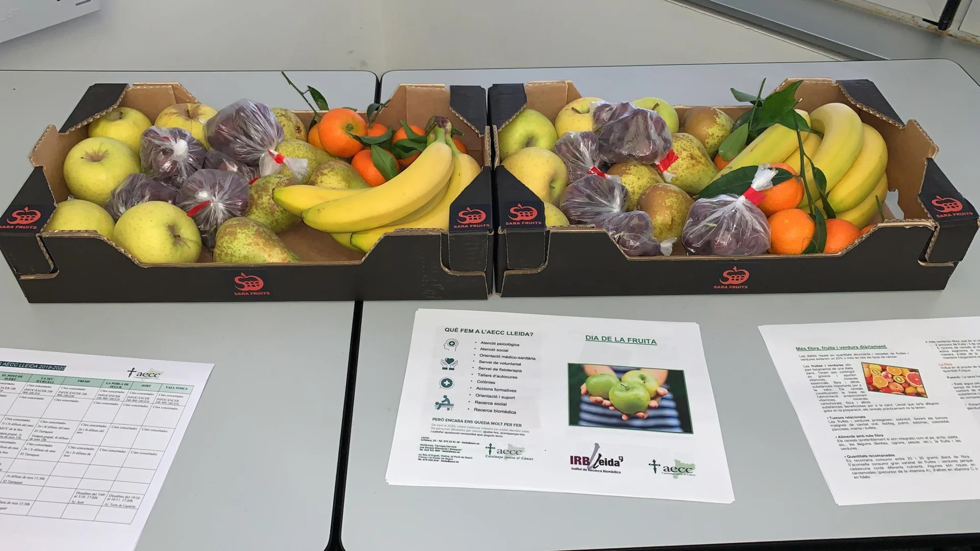 IRBLleida raises 136.20 euros for the AECC Lleida thanks to the pilot programme to promote fruit consumption in the workplace