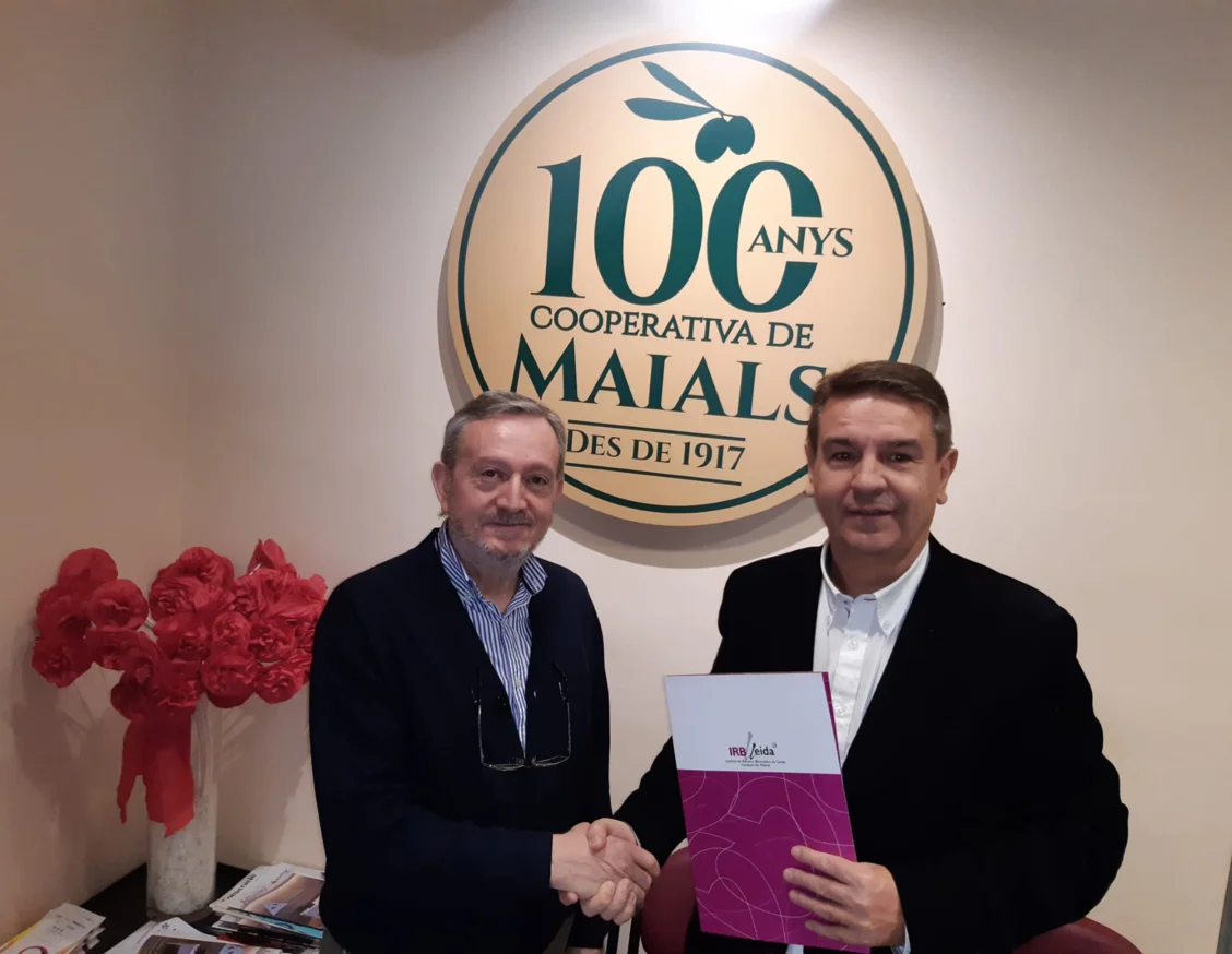 La Cooperativa Camp Foment Maialenc renova la seva col·laboració amb l'IRBLleida
