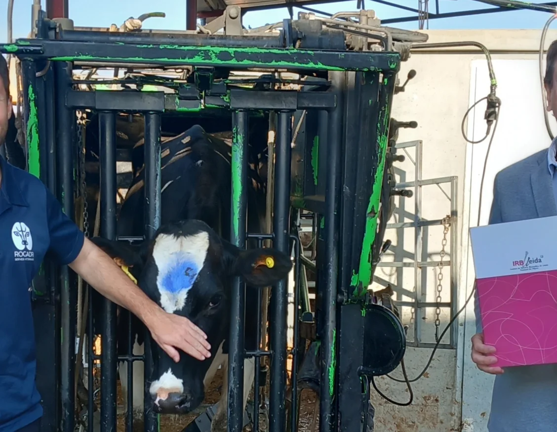 Rogadri renova la seva col·laboració amb l'IRBLleida