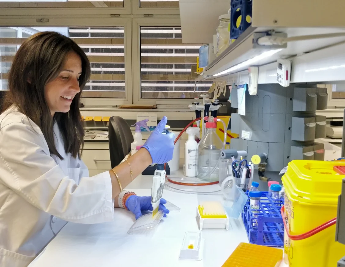 La inhibició del receptor de la vitamina D ajuda a prevenir la calcificació vascular en la malaltia renal crònica i reduir-ne la mortalitat