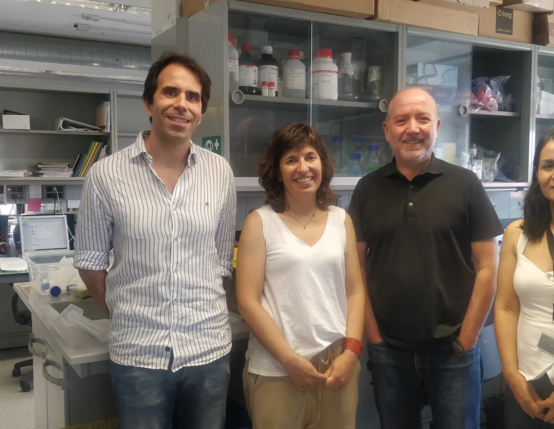 Demostren que el paper de l’estrès oxidatiu en la progressió de la malaltia d’Alzheimer afecta només a nivell cel·lular 