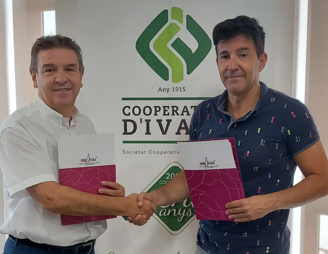 La Cooperativa d'Ivars d'Urgell renova la seva col·laboració amb l'IRBLleida