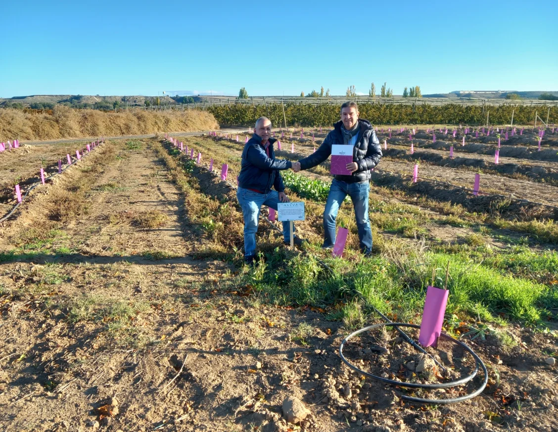 Aviva Agricultura, nova empresa col·laboradora de l'IRBLleida