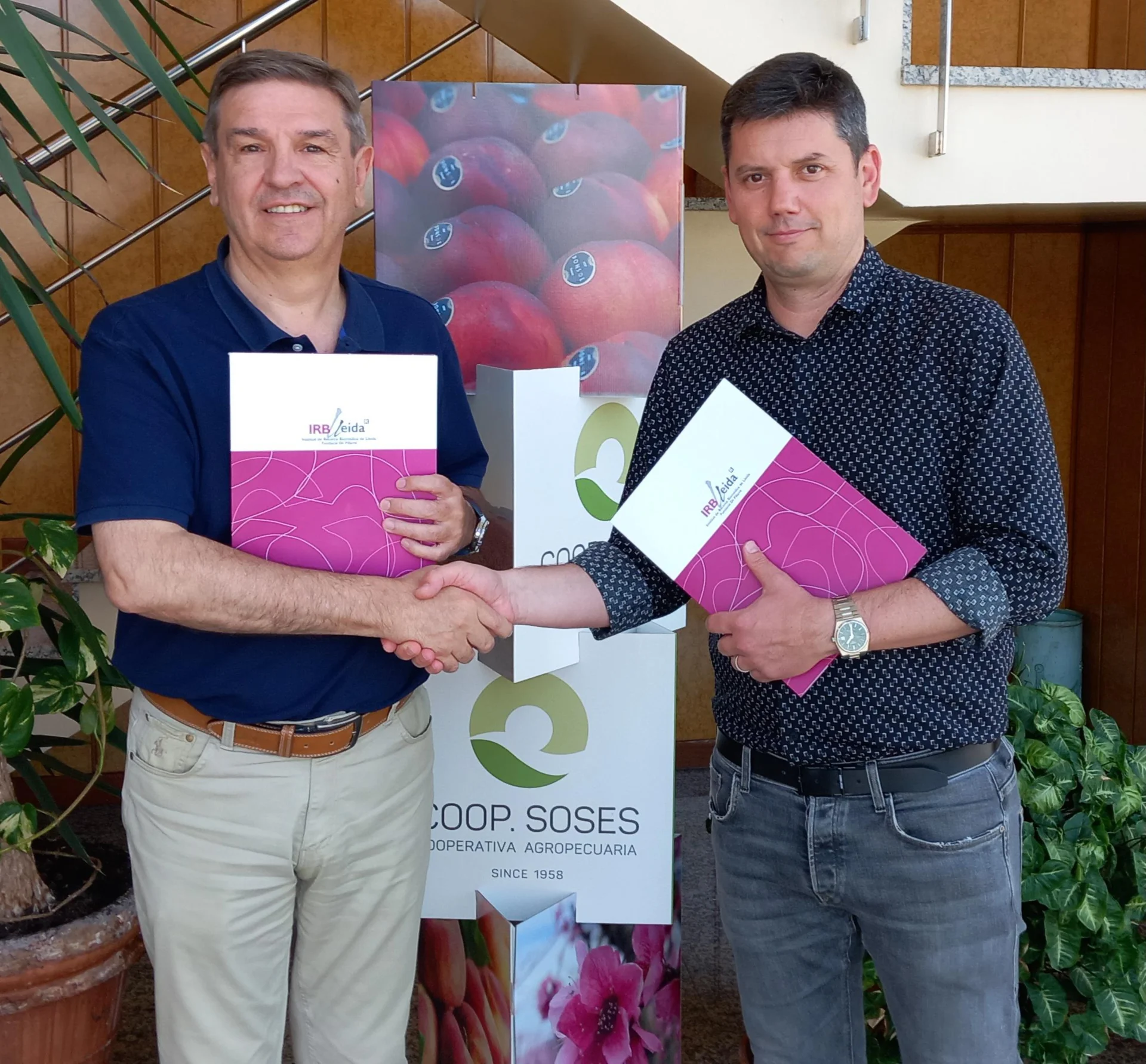 La Cooperativa Agropecuària de Soses renueva su colaboración con el IRBLleida
