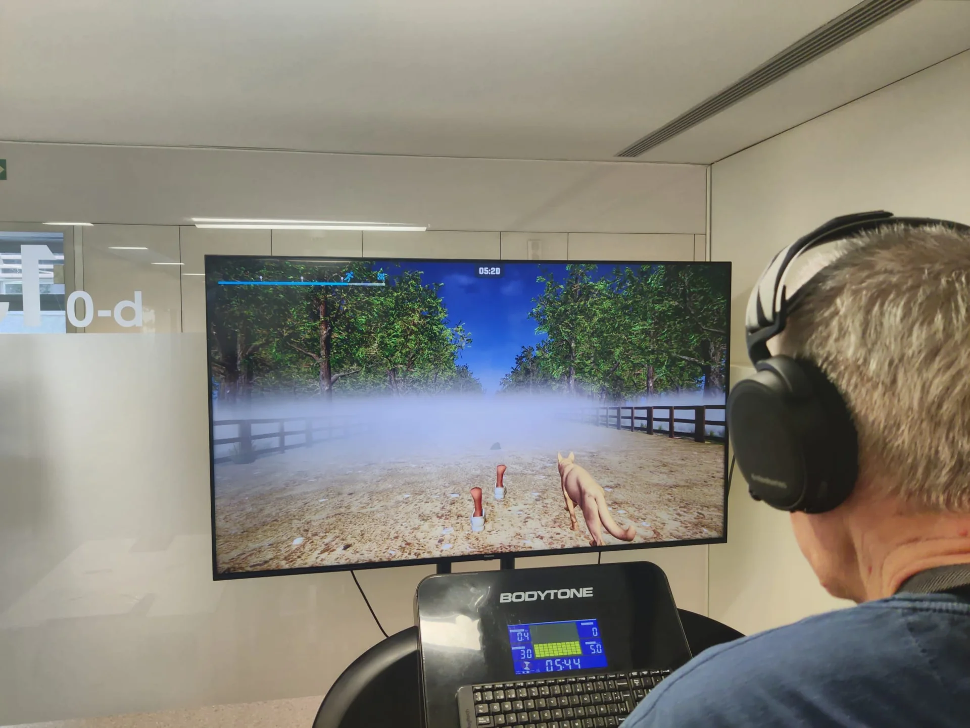 Video games, a promising tool in Parkinson's rehabilitation