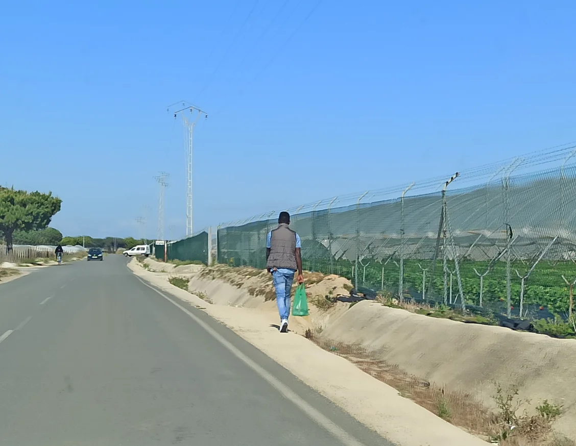 Els treballadors agrícoles migrants pateixen problemes de salut i barreres d’accés als serveis sanitaris