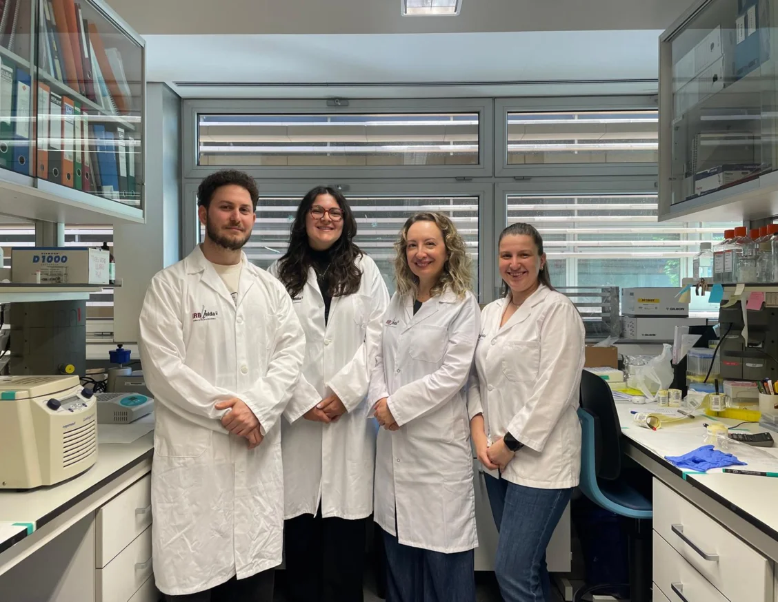 A study by IRBLleida identifies a new therapeutic target for protecting the kidneys in cases of obesity