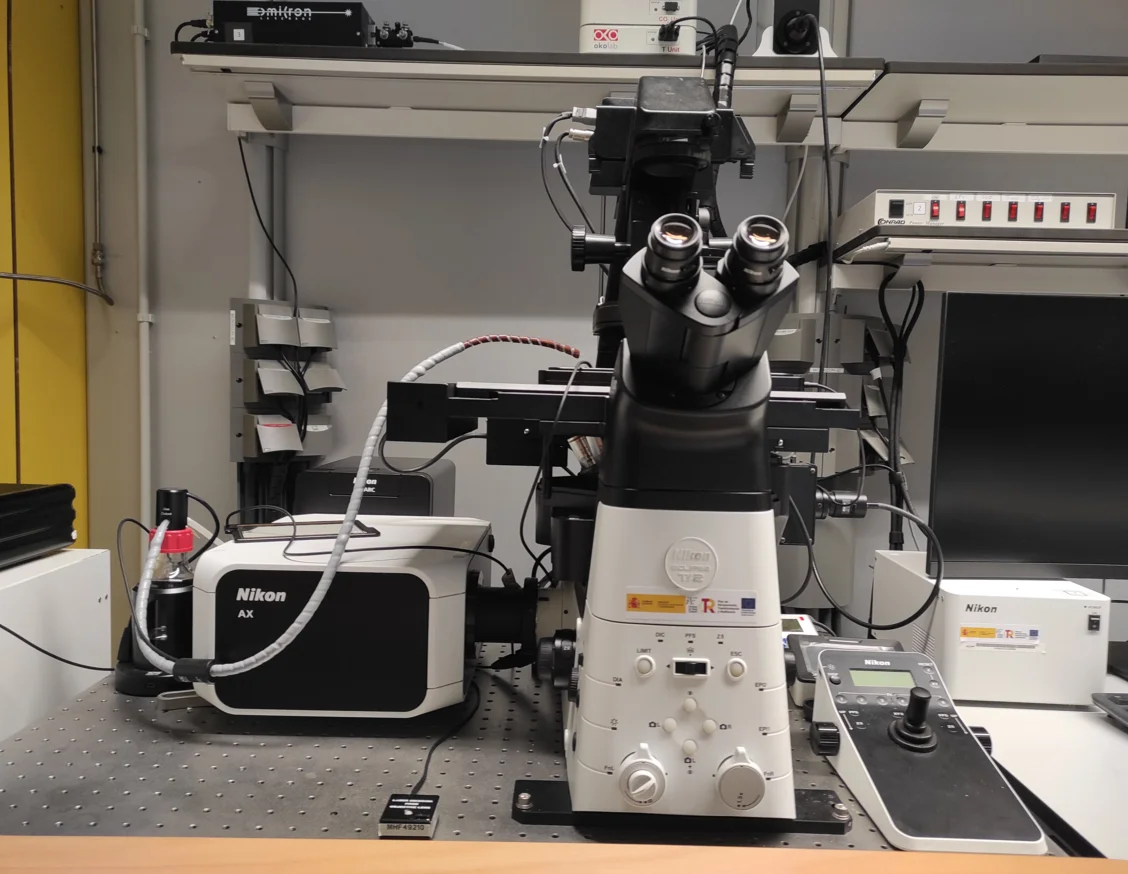 IRBLleida has purchased a scanning confocal microscope to meet the high demand for this technology and expand its range of services