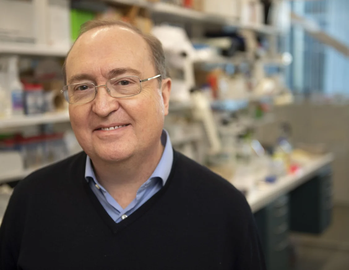 Mor Ernest Arenas, neurocientífic lleidatà 