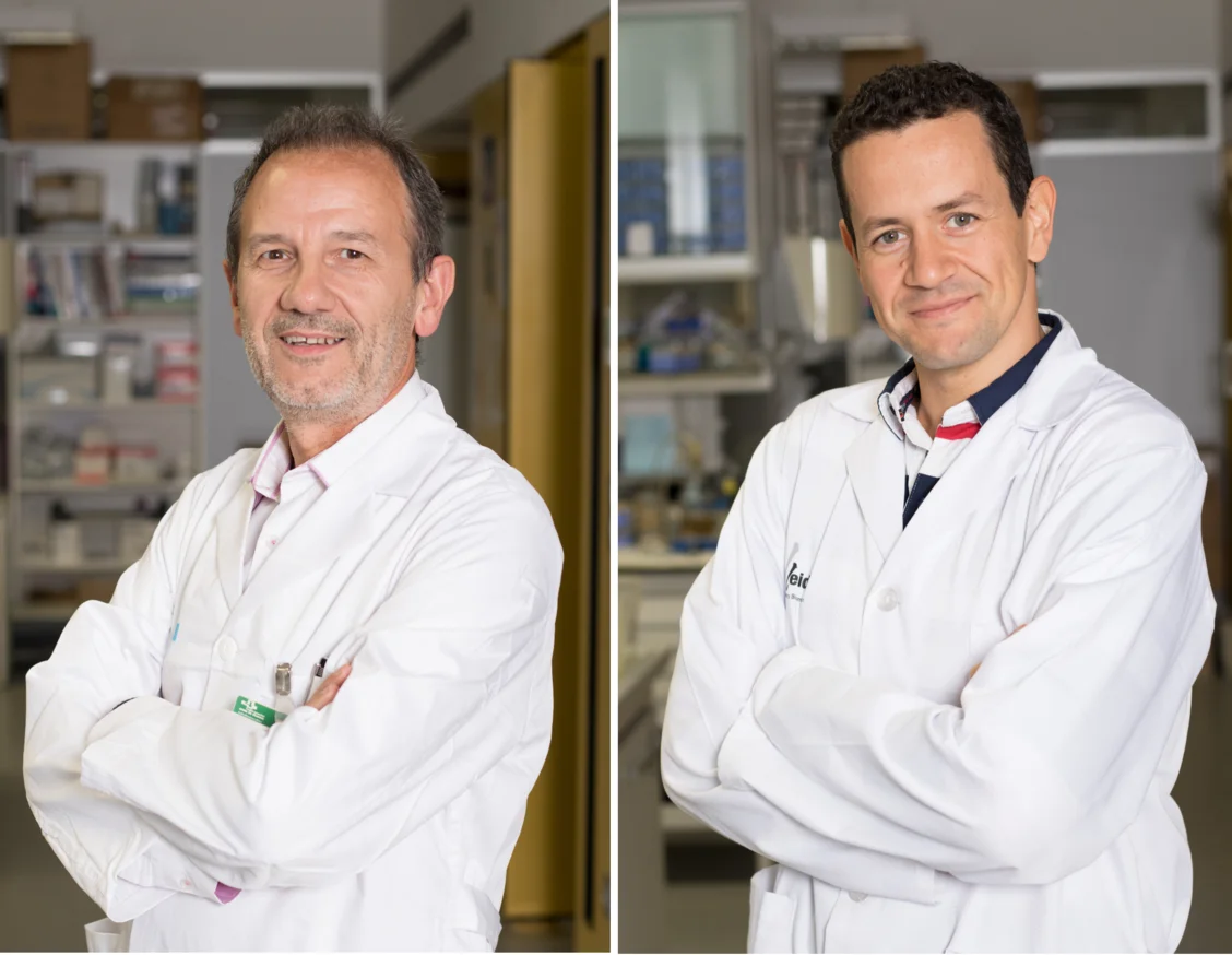Un estudi lleidatà associa l’apnea obstructiva del son amb l’augment del risc cardiovascular en pacients sense malaltia cardíaca prèvia