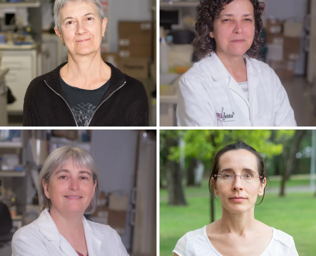 Quatre investigadores de l’IRBLleida, entre les 5.000 millors de l'Estat espanyol segons el Consell Superior d’Investigacions Científiques