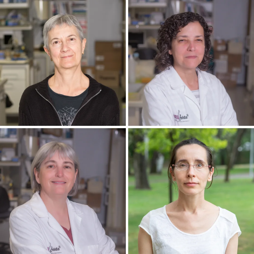 Four researchers from IRBLleida, among the top 5,000 in Spain according to the Spanish National Research Council