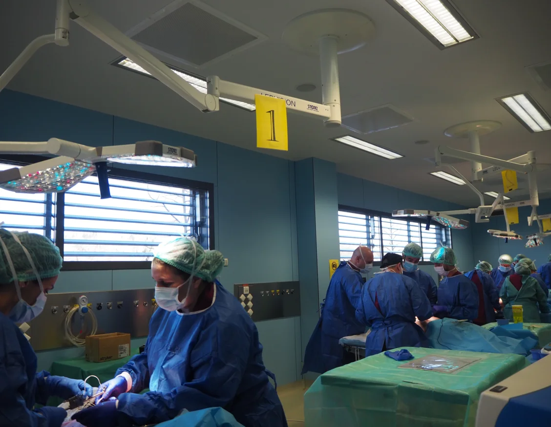 Professionals mèdics es formen al CREBA en tècniques complexes de cirurgia toràcica