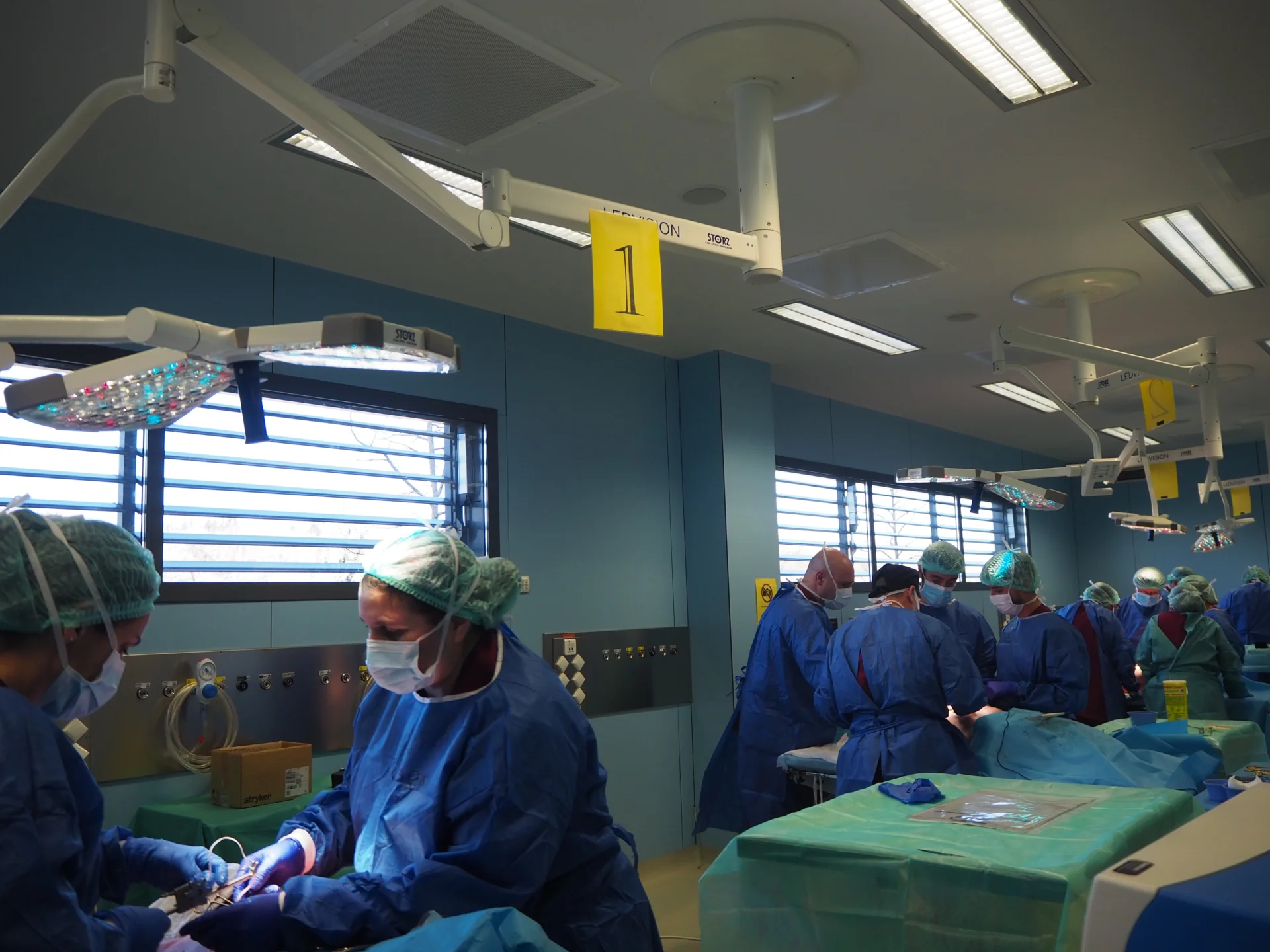 Professionals mèdics es formen al CREBA en tècniques complexes de cirurgia toràcica