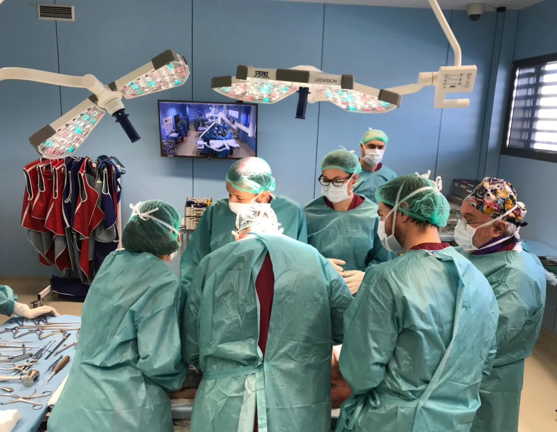 El centre CREBA imparteix un curs de cirurgia de mínima invasió per a veterinaris