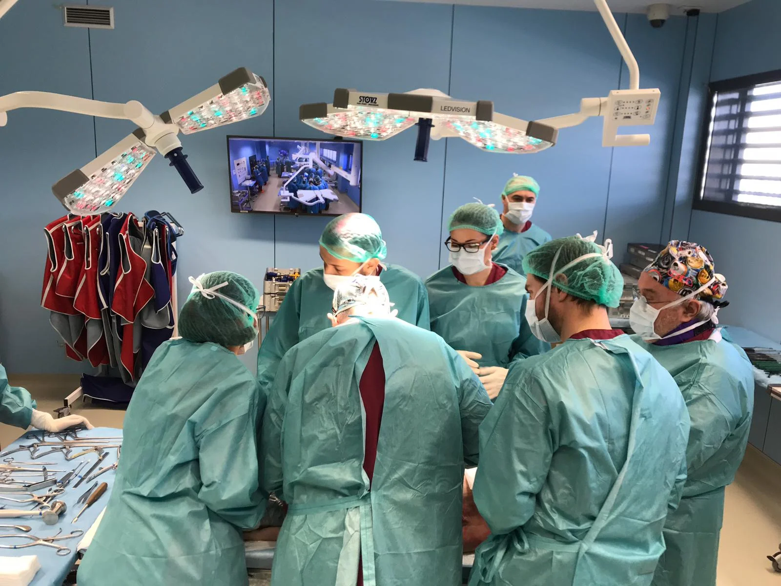 Course of minimally invasive surgery for veterinarians in the CREBA center