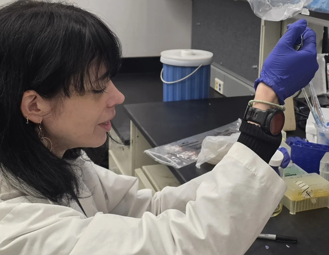 Researchers have identified a new molecular mechanism that explains why some endometrial cancers are more aggressive
