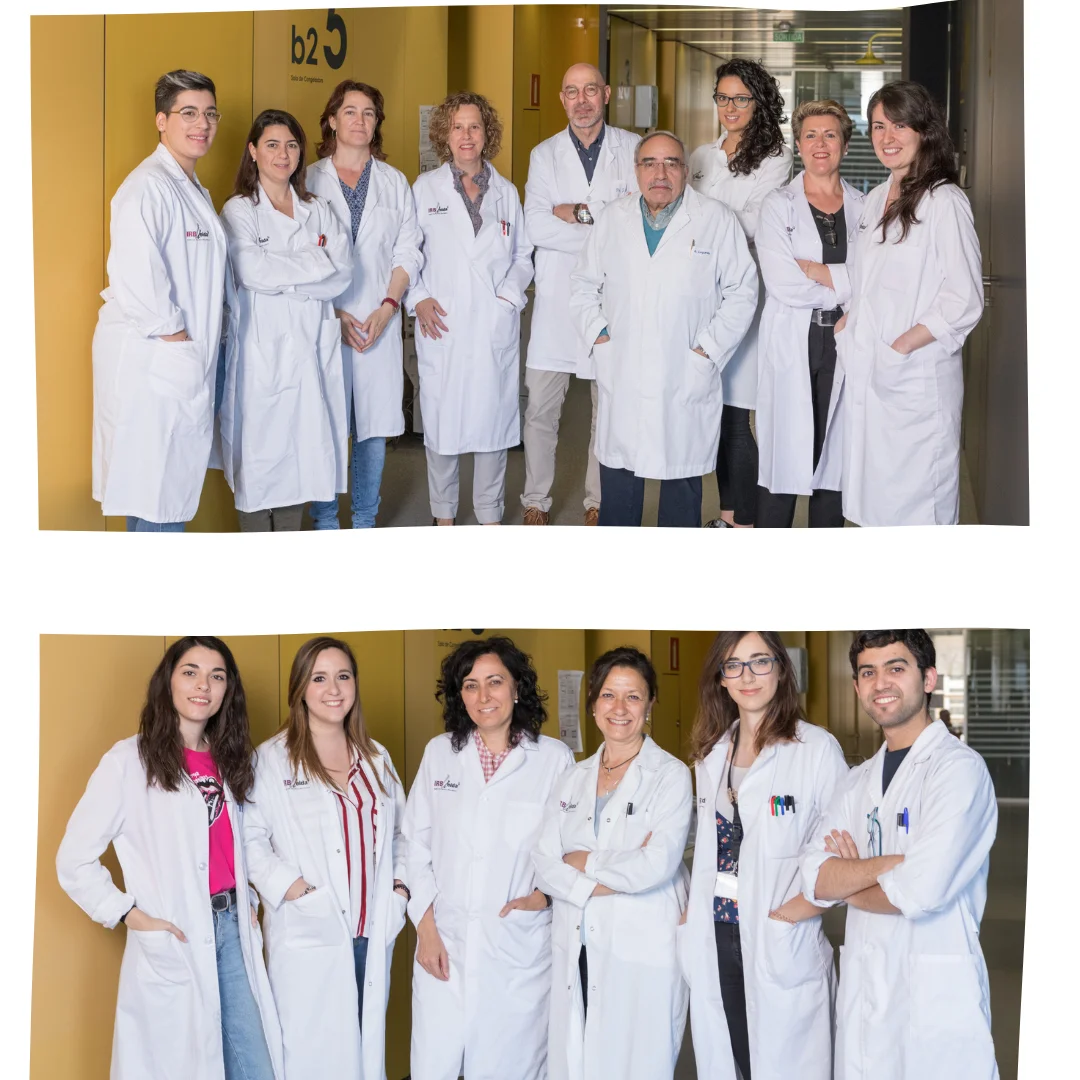 The TV3 Marathon promotes a project on spinal muscular atrophy at IRBLleida