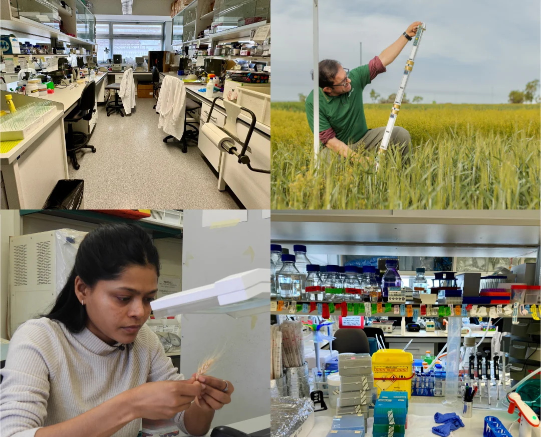 Agrotecnio i l’IRBLleida llancen la segona convocatòria d’ AgroHealth