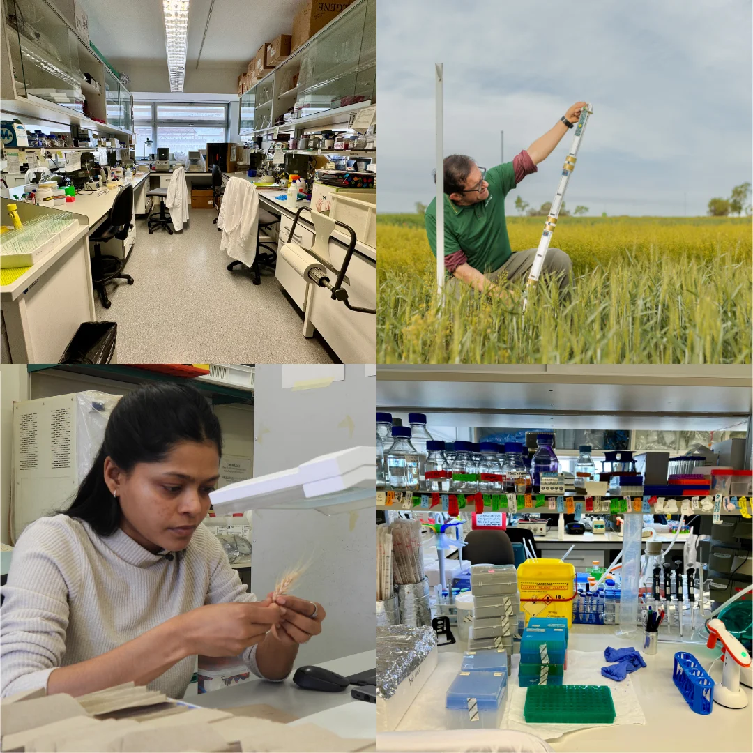 Agrotecnio y el IRBLleida lanzan la segunda convocatoria AgroHealth
