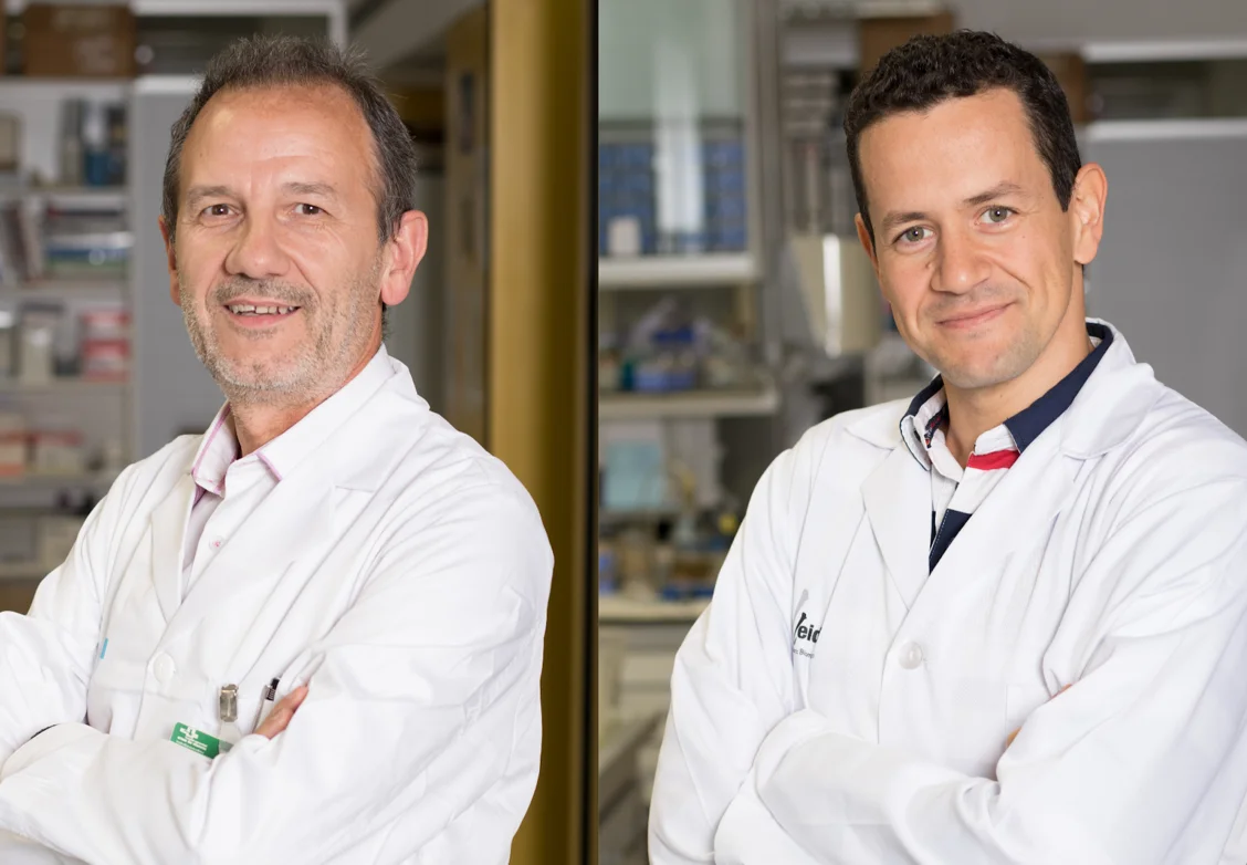 Nou impuls a HIPARCO-score, una eina de medicina personalitzada contra la hipertensió resistent