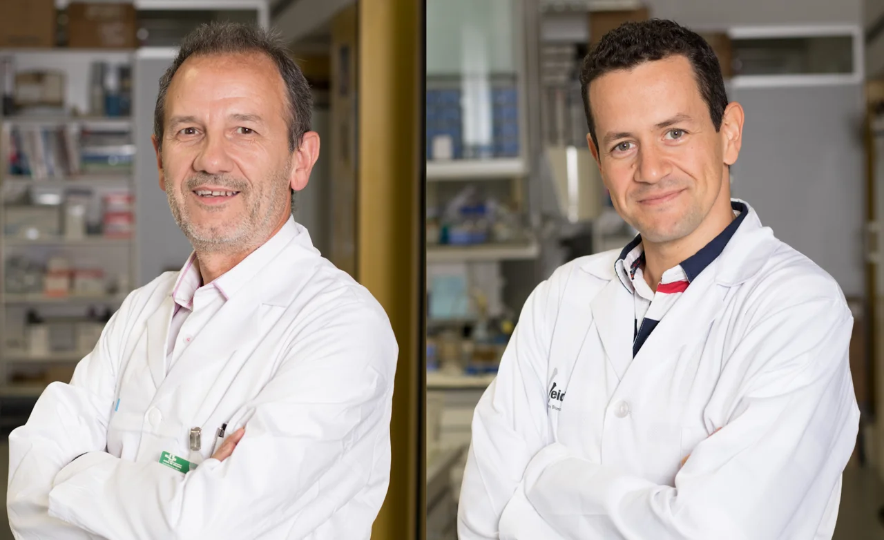 New boost for HIPARCO-score, a personalised medicine tool for resistant hypertension