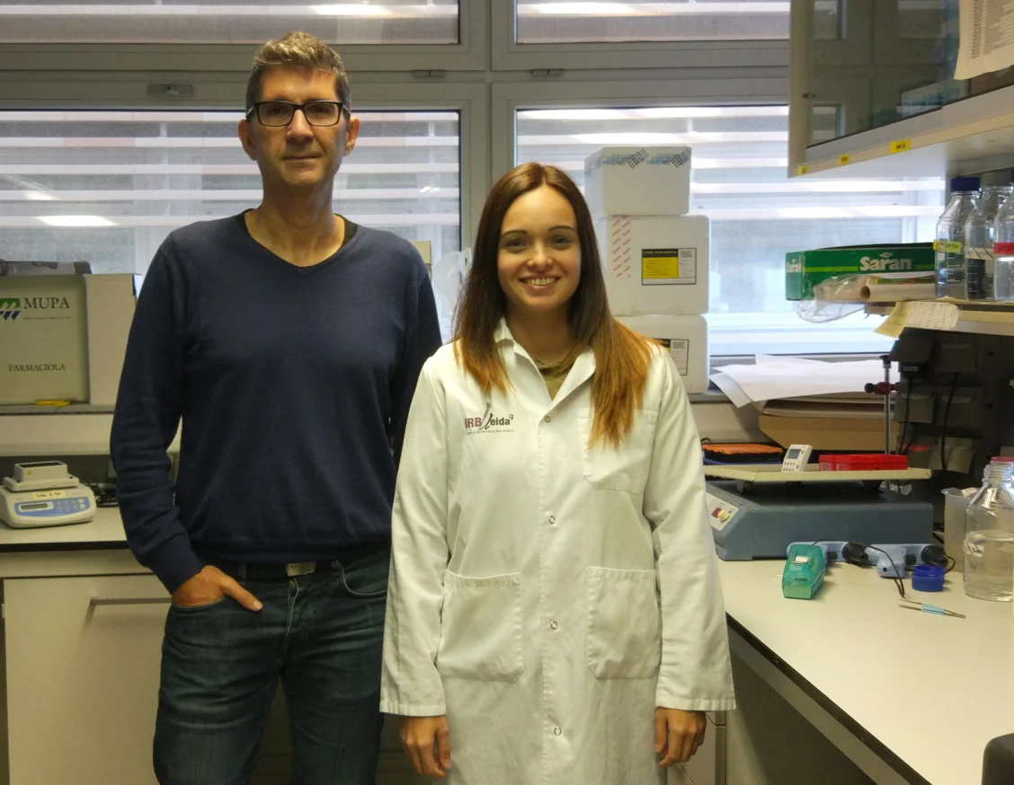 Lleida researchers discover a genetic relationship between cardiovascular function and Alzheimer's disease