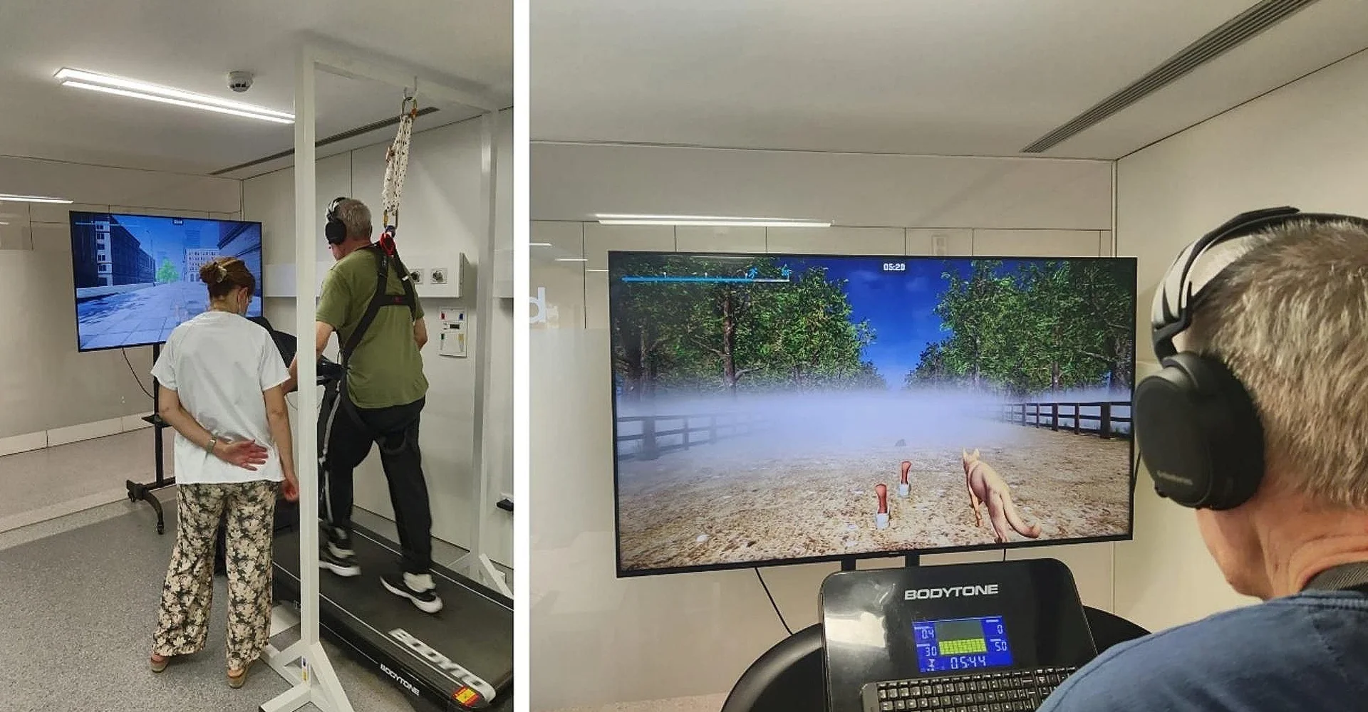 Virtual reality training, an effective gait rehabilitation tool for people with Parkinson's disease