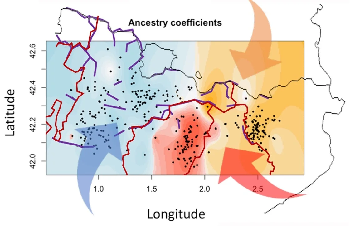 The limits of the bishoprics and the abrupt mountainous orography shape the genetic profile of the rural populations of the Catalan Pyrenees