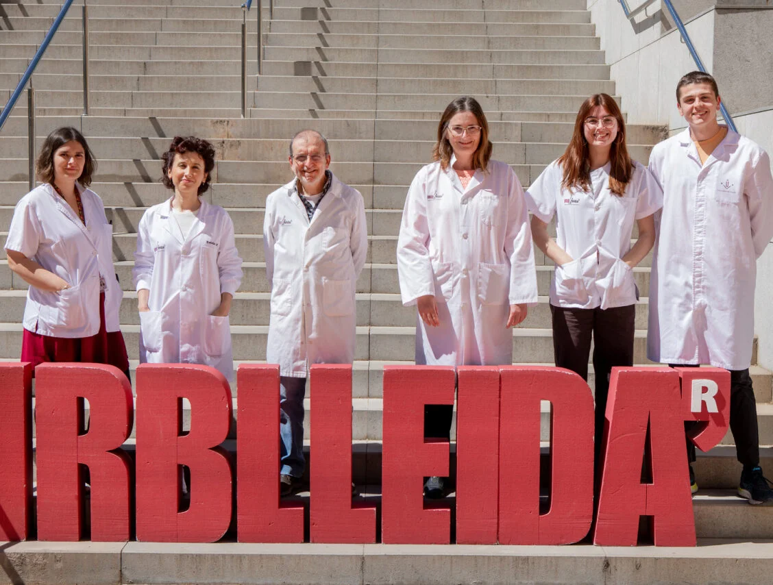 La interacció entre la microbiota i el sistema immunitari influeix en el desenvolupament de la diabetis tipus 1
