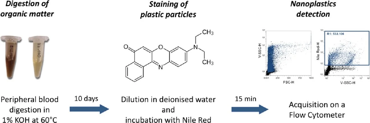 New method for detecting nanoplastics in blood