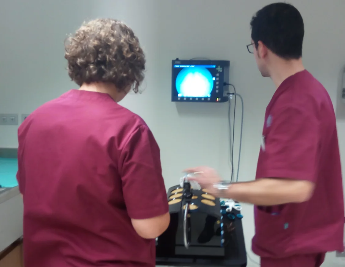 El Servicio de Urología del HUAV organiza un curso para abordar el tratamiento del cáncer de próstata y de las complicaciones de la incontinencia urinaria derivadas de un tratamiento quirúrgico en el CREBA