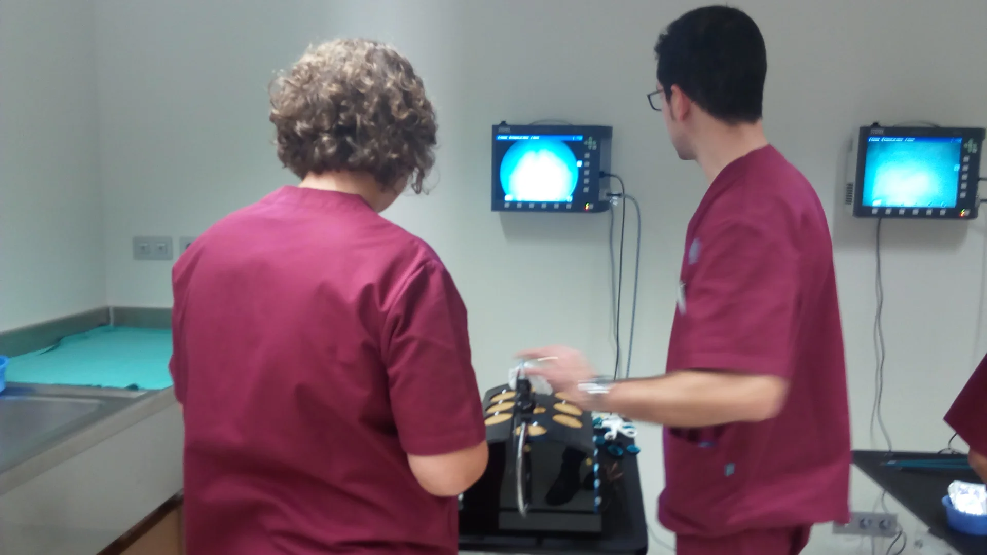 El Servei d’Urologia de l’HUAV organitza un curs per abordar el tractament del càncer de pròstata i de les complicacions de la incontinència urinària derivades d’un tractament quirúrgic al CREBA
