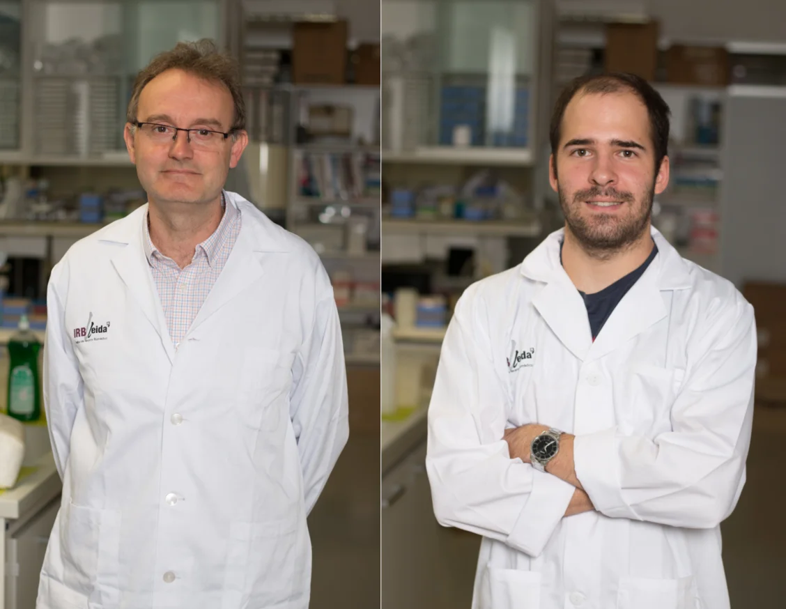Salut finança un projecte de recerca de Lleida per identificar potencials fàrmacs dirigits contra una proteïna clau per a l’entrada del virus SARS-CoV2