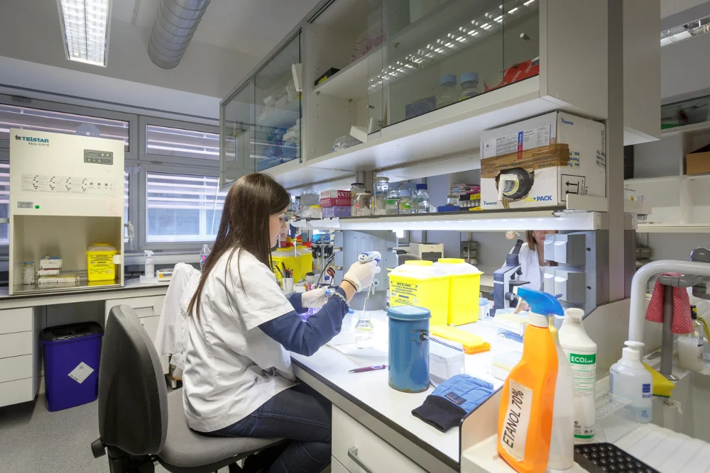 IRBLleida offers 11 grants to promote the incorporation of personnel in biomedical research in Lleida