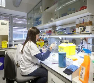 El IRBLleida organiza dos talleres y una gincana en el marco de la Noche Europea de la Investigación 2019