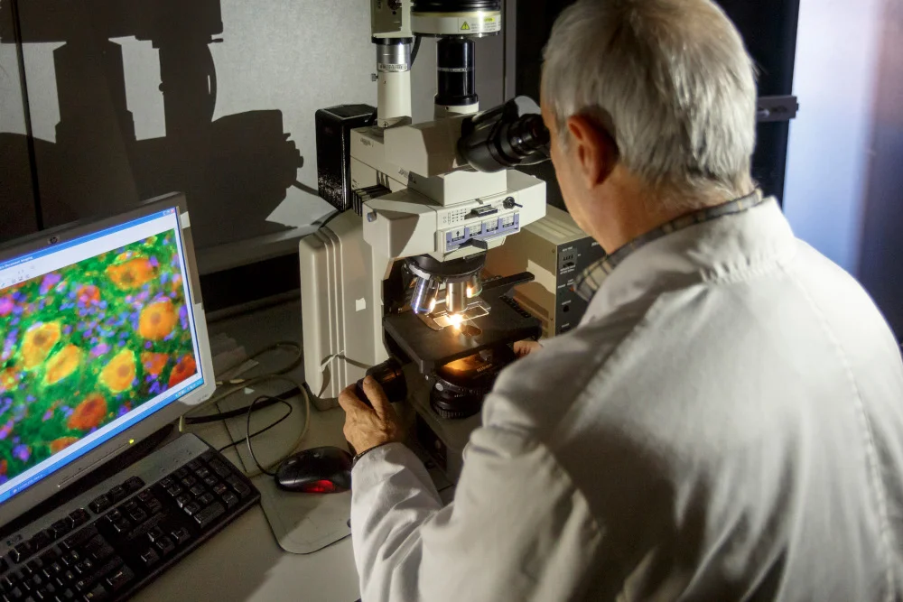 CaixaBank y la Obra Social “la Caixa” abren una campaña de micromecenazgo a favor del IRBLleida para conseguir horas para la investigación en envejecimiento saludable