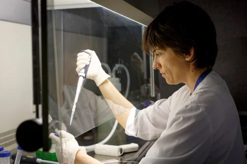 Els Instituts de Recerca Biomèdica de Girona, Lleida i Tarragona finalitzen el projecte GO_HERO per impulsar conjuntament la internacionalització de la investigació