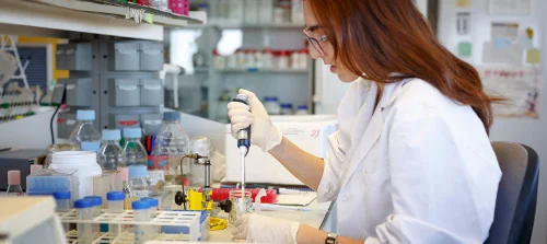 La Diputació de Lleida finança amb 279.300 € la incorporació de personal investigador en formació a l’IRBLleida