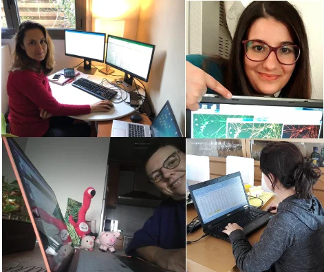 L'IRBLleida, teletreballant des de casa