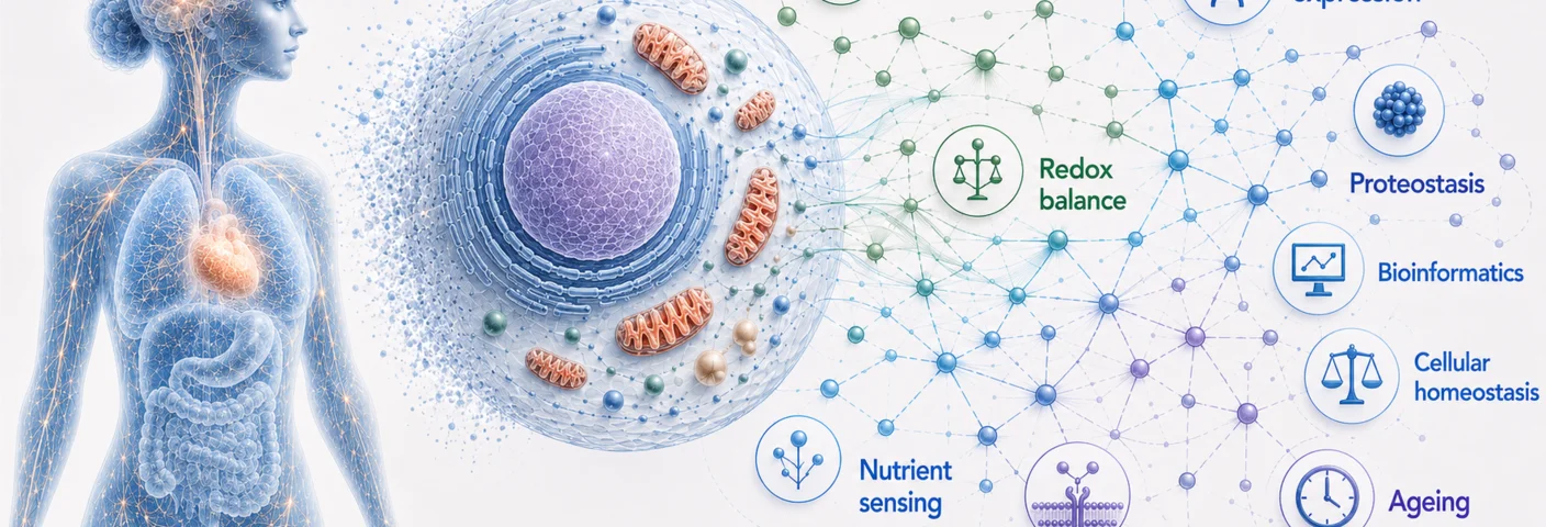 Nutrition, Metabolism and Cellular Stress
