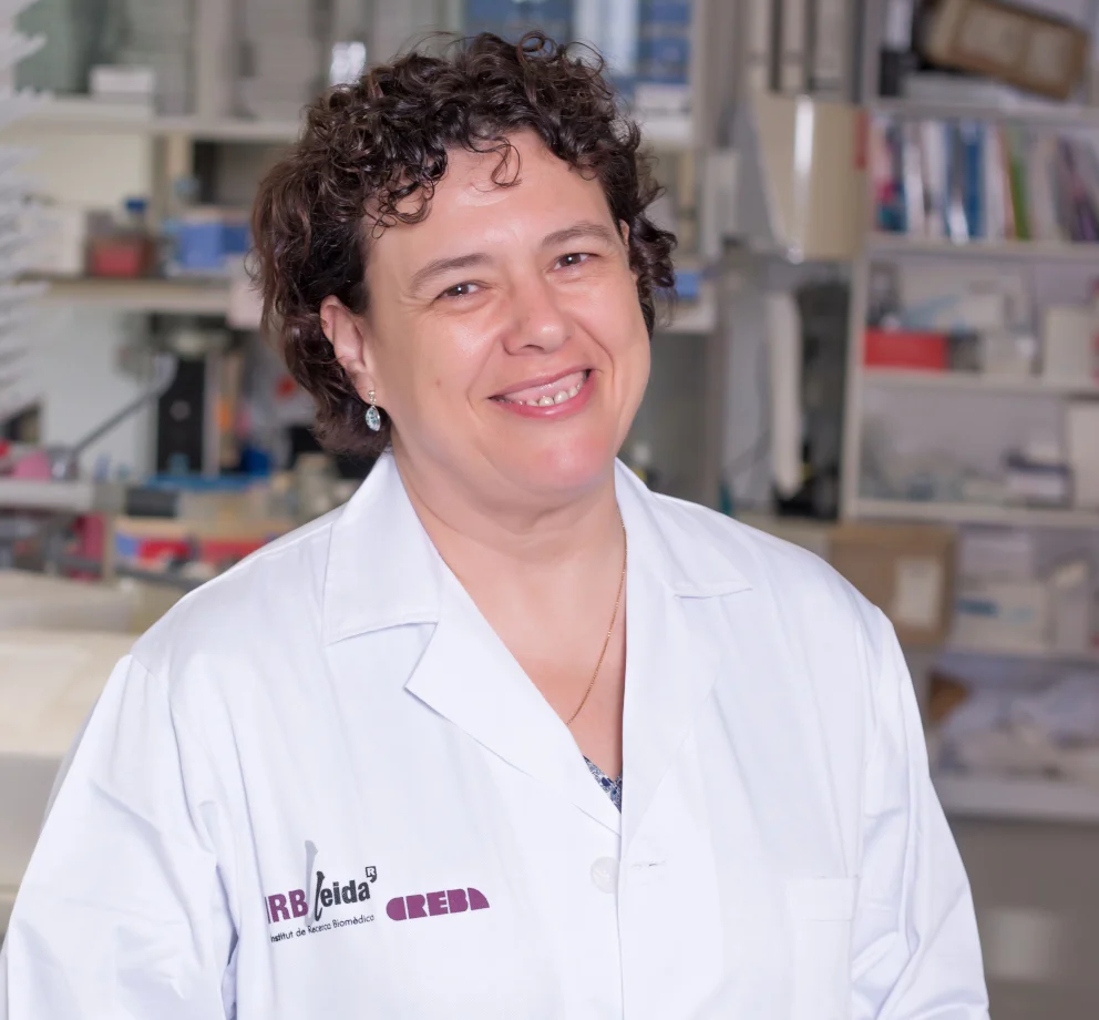 Reliability of a predictive algorithm for colorectal cancer confirmed in a study in rats