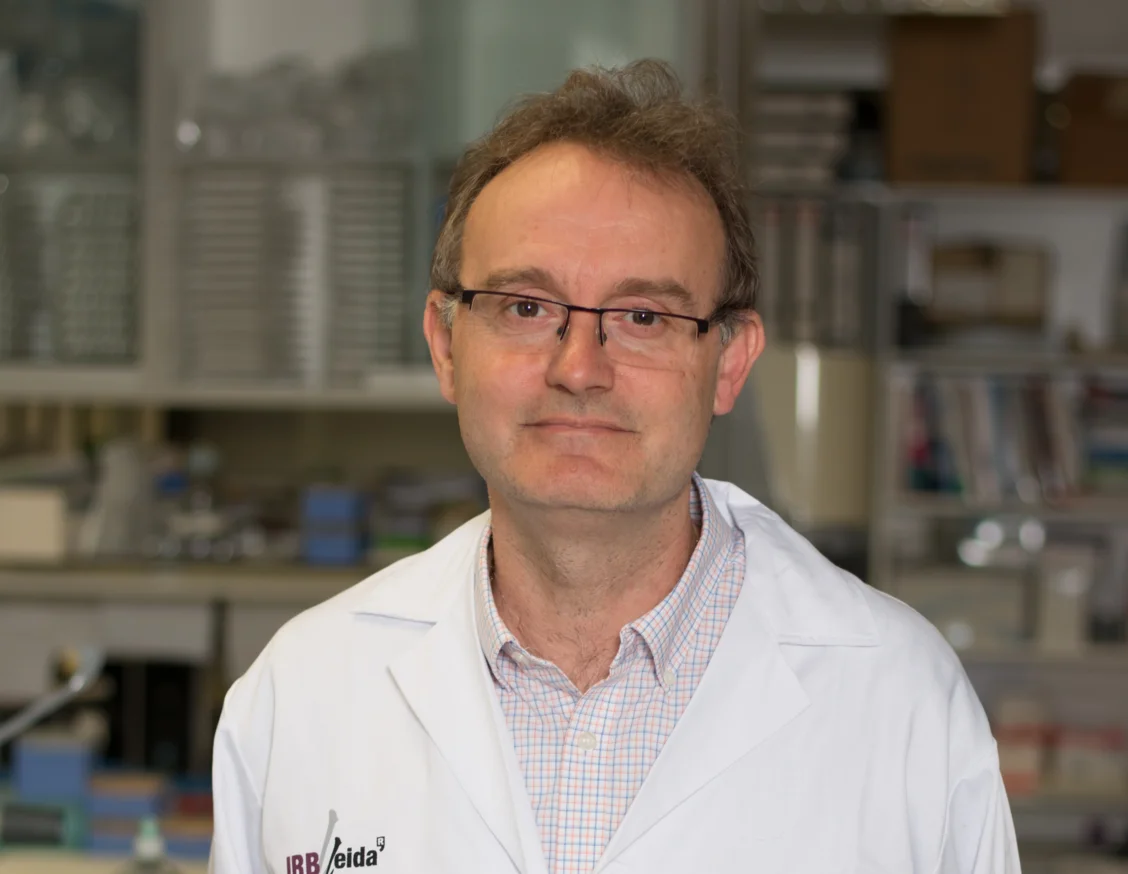 La Cianovirina-N podria frenar la infecció pel SARS-CoV-2