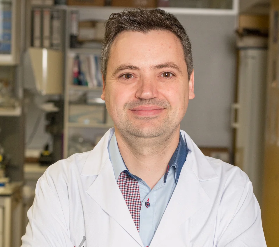 They confirm the prevalence of fat to the arteries in more than 70% of the population of Lleida with low cardiovascular risk