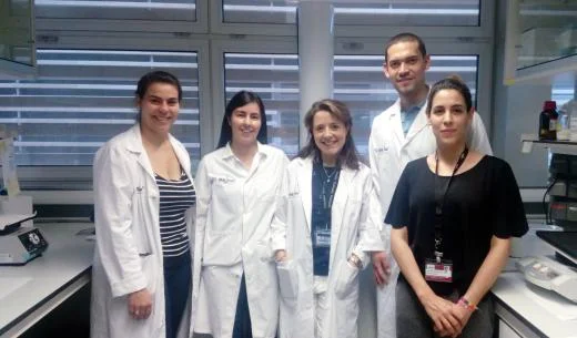 Quatre investigadors postdoctorals s&rsquo;incorporen a l&rsquo;IRBLleida en el marc del programa europeu Marie Curie COFUND